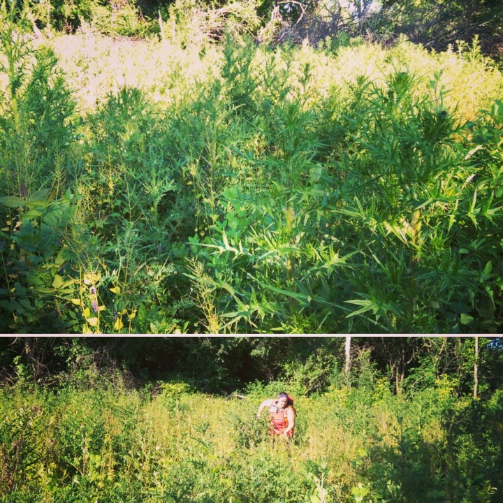 June 17, 2016 – The Survey from&nbsp;Hell