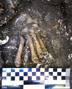 img_20160818_1420201