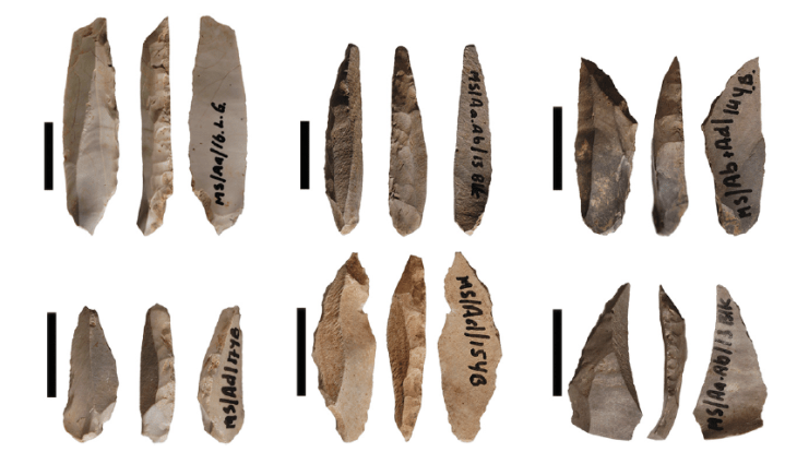 Attenbrow Backed artifacts.png