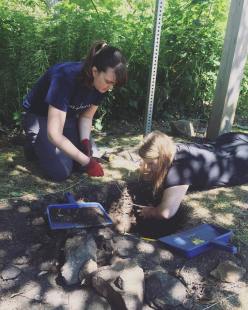 19933152_1163544657083066_4752849644847890432_n(1)